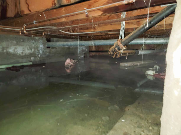 Best Water damage restoration near me  in Crystal Lawns, IL