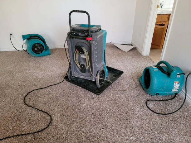 Best Residential water damage restoration  in Crystal Lawns, IL