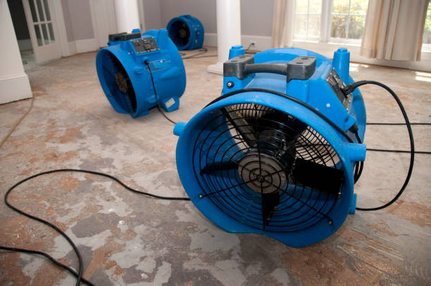 Best Water damage contractors near me  in Crystal Lawns, IL