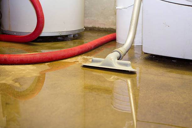 Best Sewage cleanup and water damage restoration  in Crystal Lawns, IL
