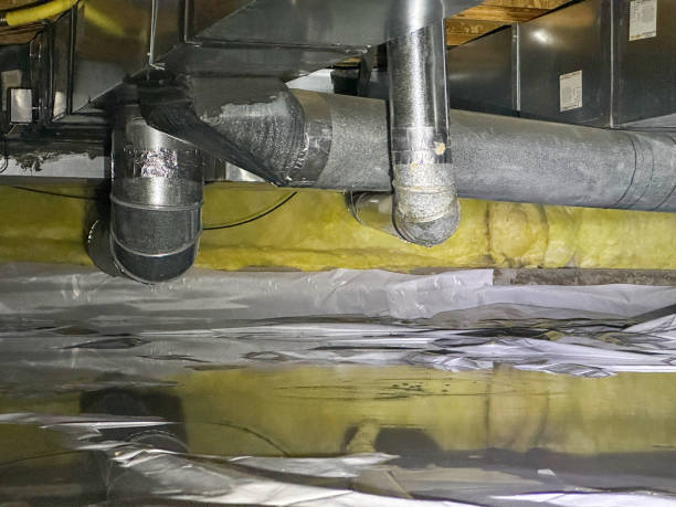 Best Carpet water damage restoration  in Crystal Lawns, IL