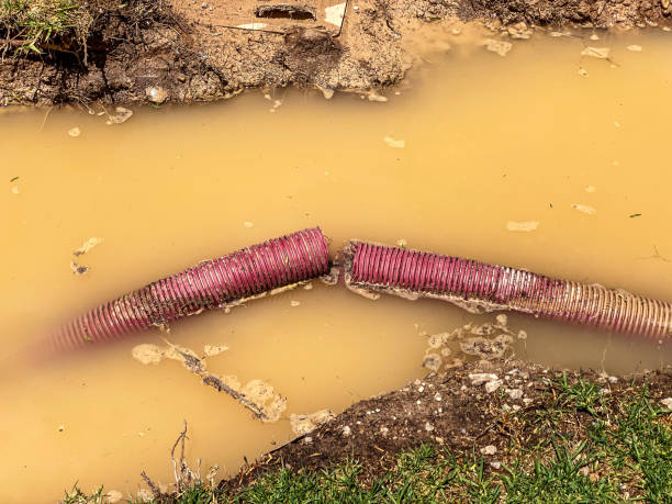 Best Water damage restoration services  in Crystal Lawns, IL
