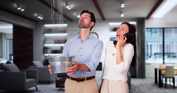 Best Basement water damage restoration  in Crystal Lawns, IL