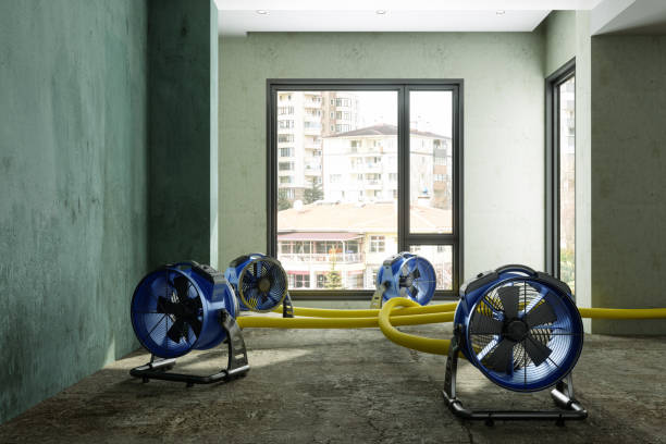 Best Local water damage restoration  in Crystal Lawns, IL